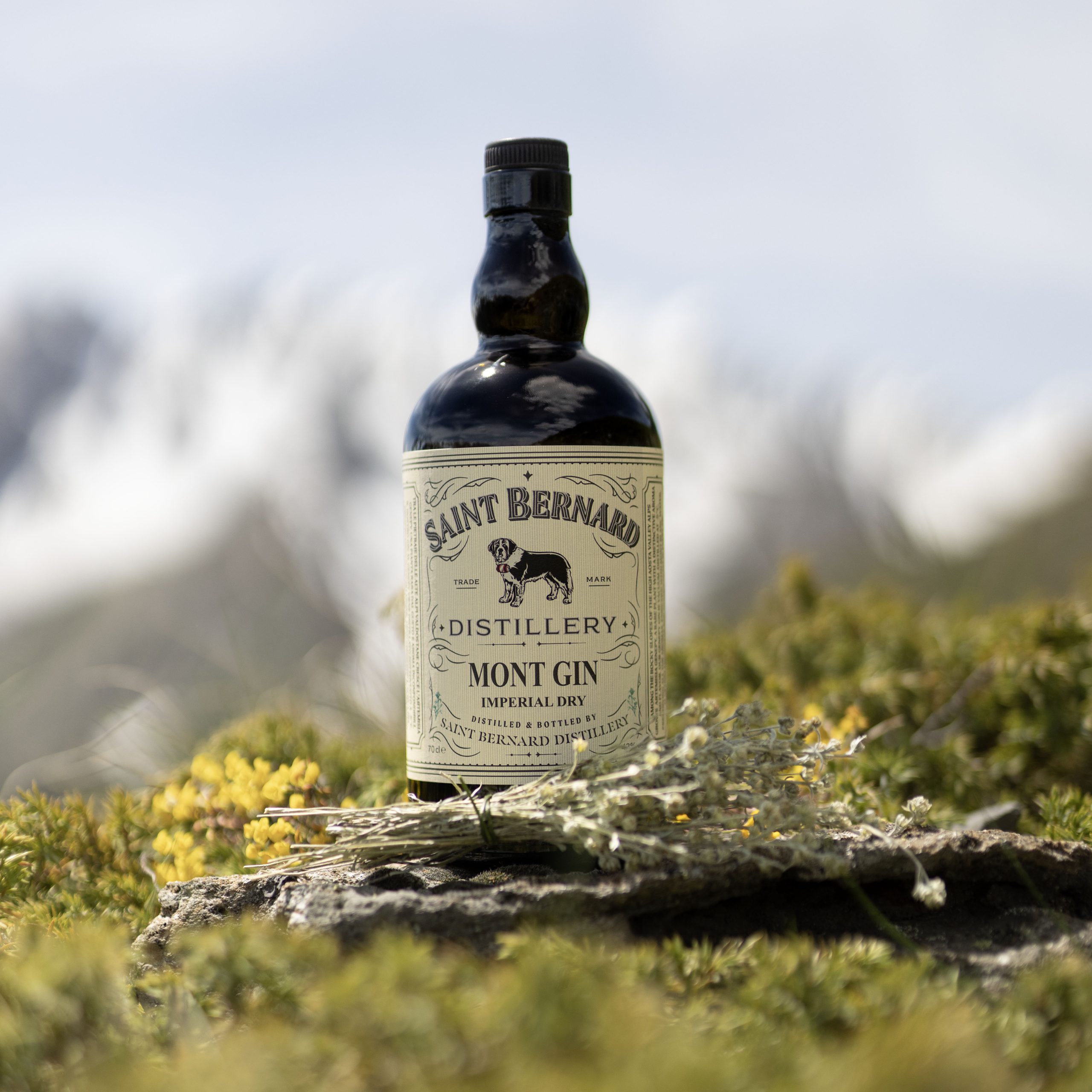 Saint Bernard Mont Gin Premium Dry gin al genepy