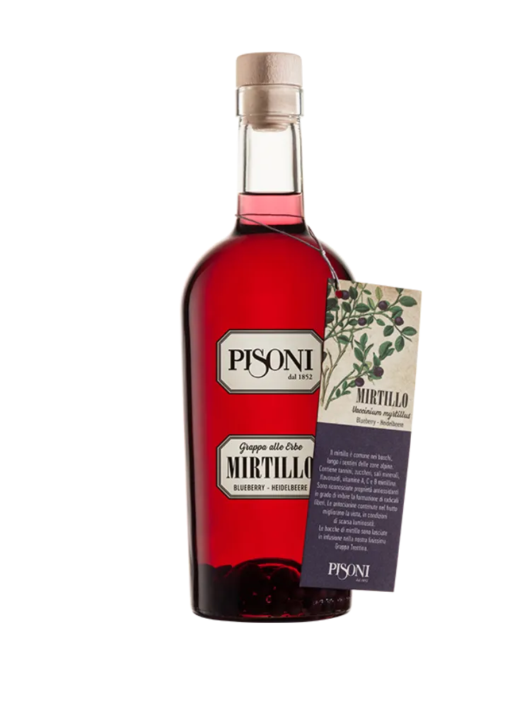 F.lli Pisoni Mirtillo Heidelbeer grappa aromatizzata