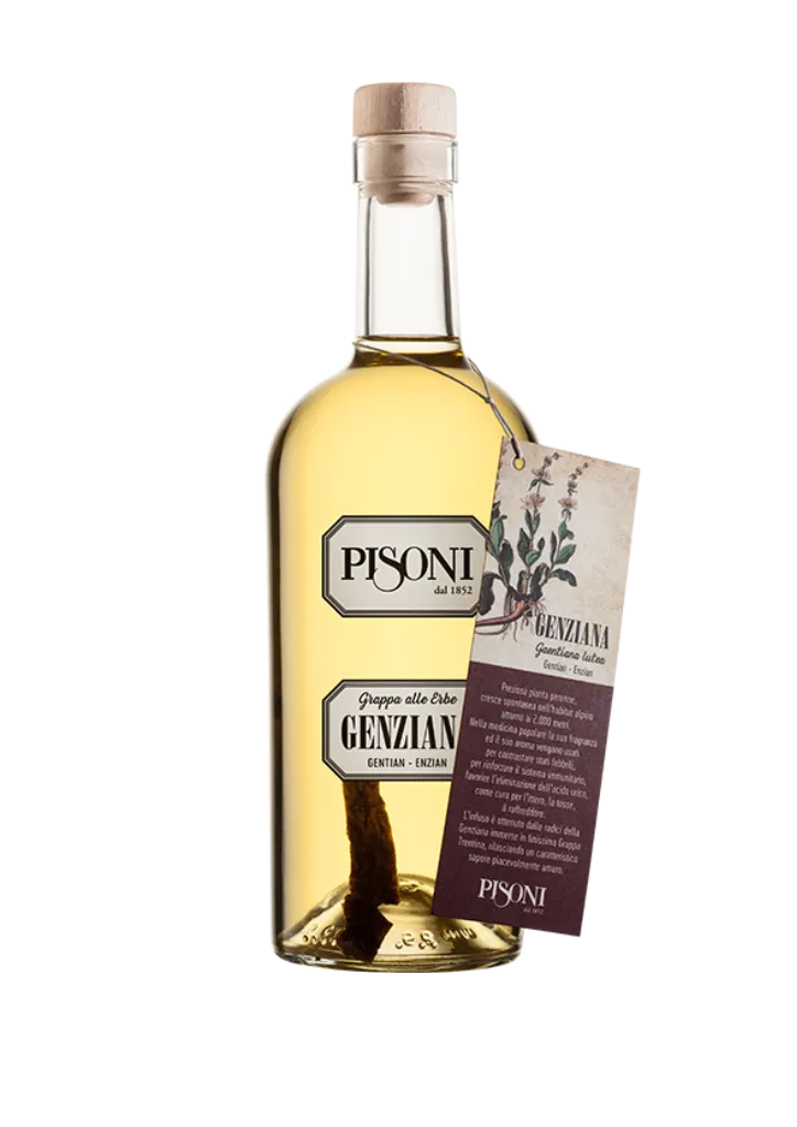 F.lli Pisoni Genziana Grappa Aromatizzata 500 ml