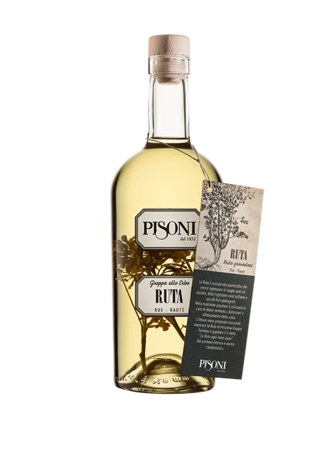 F.lli Pisoni Ruta Grappa Aromatizzata 70 cl Erbe