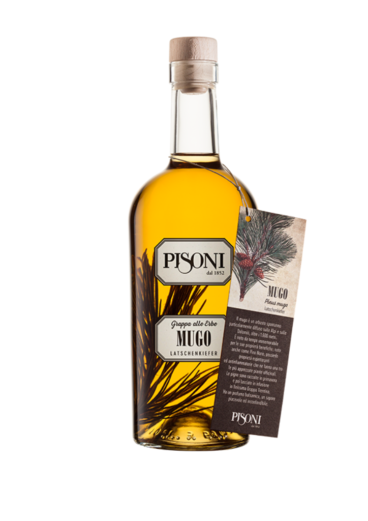 F.lli Pisoni Grappe Aromatizzate Mugo Grappa al Pino Mugo 0,70 l