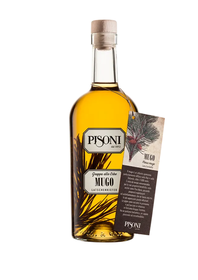 F.lli Pisoni Grappe Aromatizzate Mugo Grappa al Pino Mugo 0,70 l
