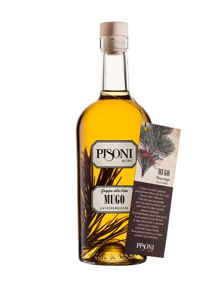 F.lli Pisoni Grappe Aromatizzate Mugo Grappa al Pino Mugo 0,70 l